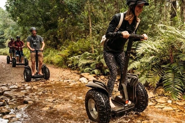 Tsitsikamma Segway Tours